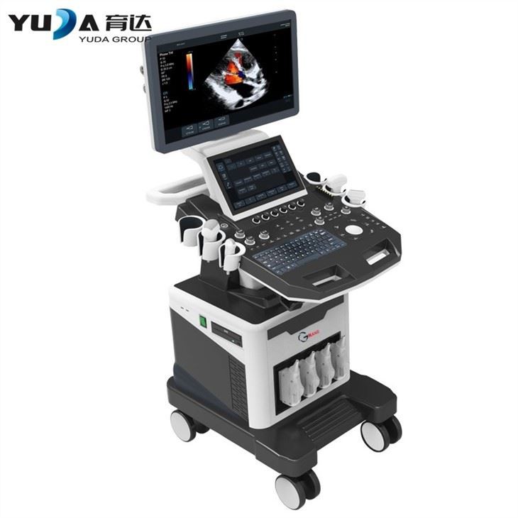 Medical Ultrasonic Diagnostic System 4D