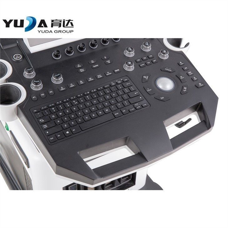 Medical Ultrasonic Diagnostic System 4D
